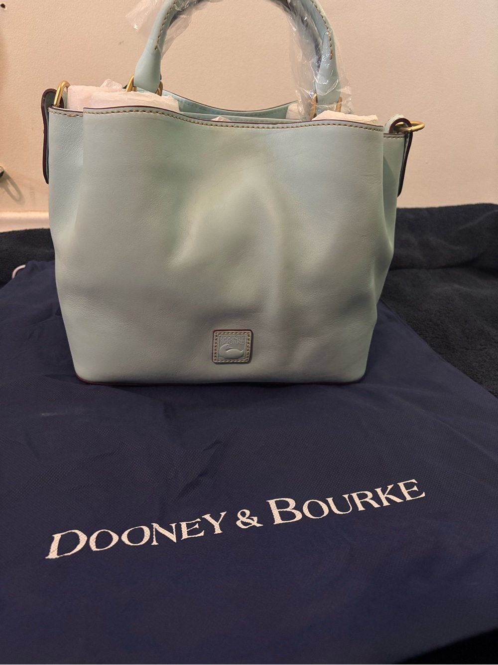 Dooney & Bourke Mint Green Leather Crossbody Satchel